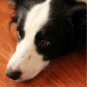 美女裸身照衣服裤子一件不剩
